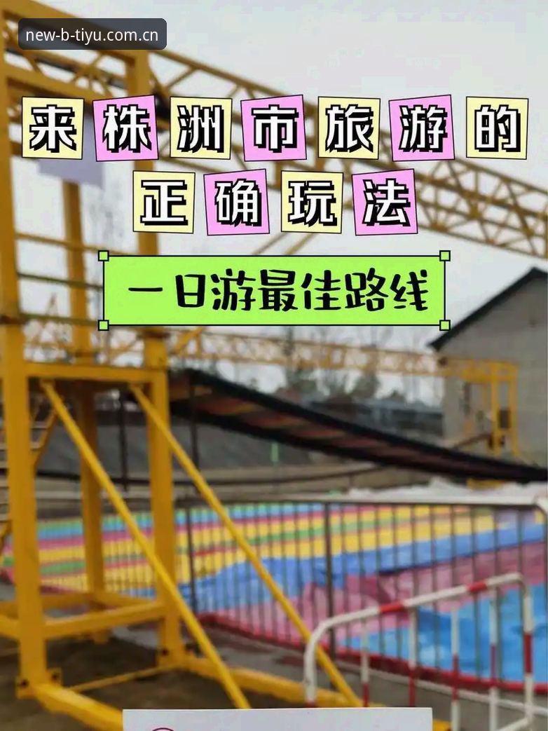 B体育最新版使用指南：从下载到畅玩的完整攻略